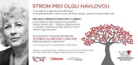 Před knihovnou bude vysazen Strom pro Olgu Havlovou 