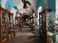 Vlastivědné muzeum a galerie v České Lípě v soutěži Gloria musaealis