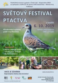 V České Lípě u řeky Ploučnice oslaví Světový festival ptactva 