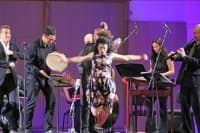 Koncert pro Liberecký kraj uvede na festivalu Lípa Musica L’Arpeggiatu 