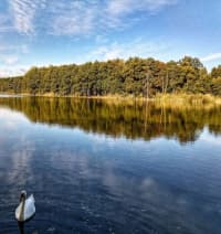 Archeologické prohlídky přiblíží Holanské rybníky na Českolipsku 
