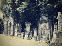 Nadšenci obnovují starý hřbitov v Kamenickém Šenově. Kraj pomohl statisíci korun 