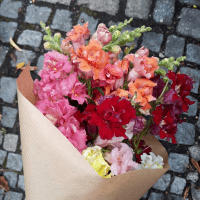 Regionálním produktem jsou i květiny z Jindřichovic a Stráže 